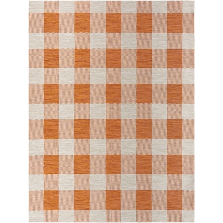 Barbados BBD-2311 Outdoor Safe Area Rug